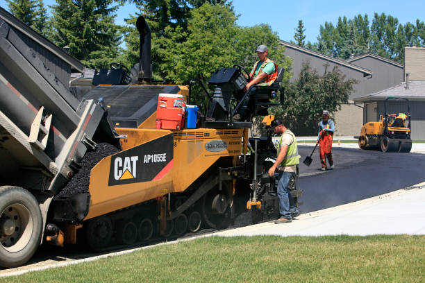 Best Local Driveway Pavers  in Louisa, VA